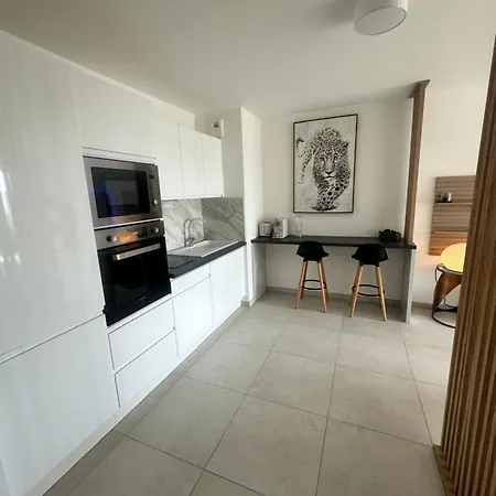 En Bord De Avec Piscine Sur Le Toit アパート サン・ローラン・デュ・ヴァール